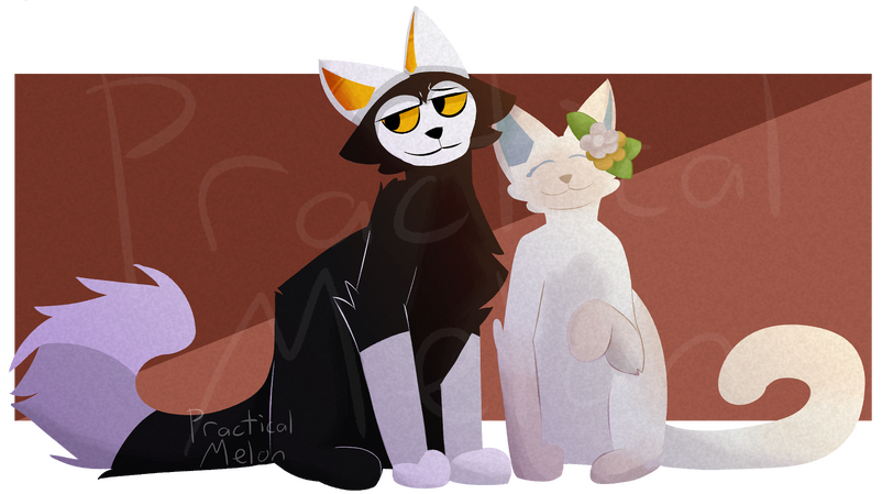 AF attack - Mallorio